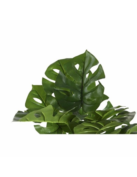 Plante décorative DKD Home Decor Monstera Vert PP PE (48 x 42 x 51 cm)