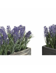 Plante décorative DKD Home Decor Bois Polyéthylène 32 x 14 x 19,5 cm (2 Unités) 2