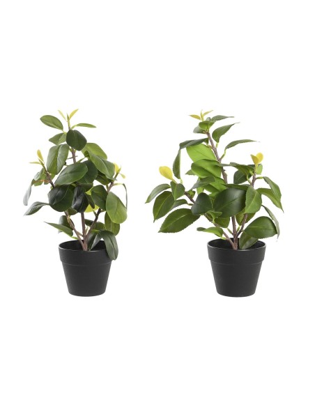 Plante décorative DKD Home Decor Vert PP PE Ficus (2 Unités) (21 x 18 x 30 cm)