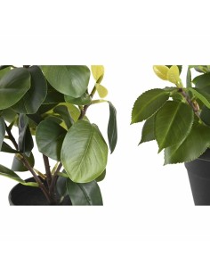 Plante décorative DKD Home Decor Vert PP PE Ficus (2 Unités) (21 x 18 x 30 cm) 2