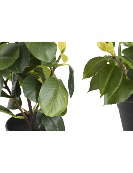 Plante décorative DKD Home Decor Vert PP PE Ficus (2 Unités) (21 x 18 x 30 cm)