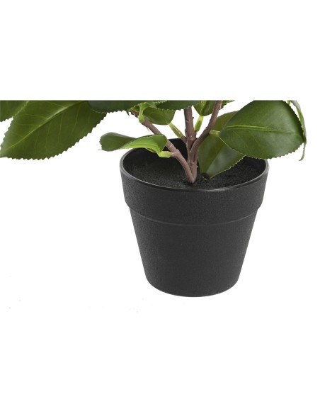Plante décorative DKD Home Decor Vert PP PE Ficus (2 Unités) (21 x 18 x 30 cm)