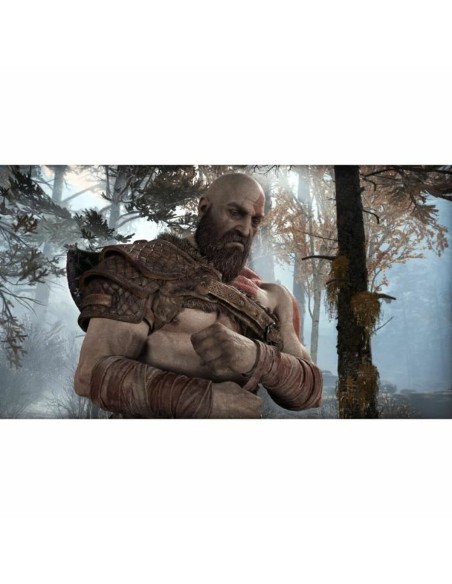 Jeu vidéo PlayStation 4 Santa Monica Studio Gof of War Playstation Hits