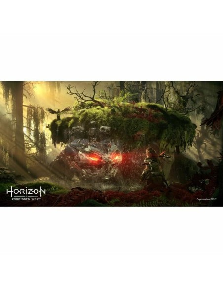 Jeu vidéo PlayStation 4 Guerrilla Games Horizon: Forbidden West