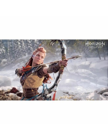 Jeu vidéo PlayStation 4 Guerrilla Games Horizon: Forbidden West