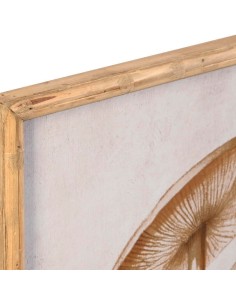 Cadre DKD Home Decor Verre 50 x 70 x 2,8 cm 50 x 2,8 x 70 cm Champignons (2 Unités) 2