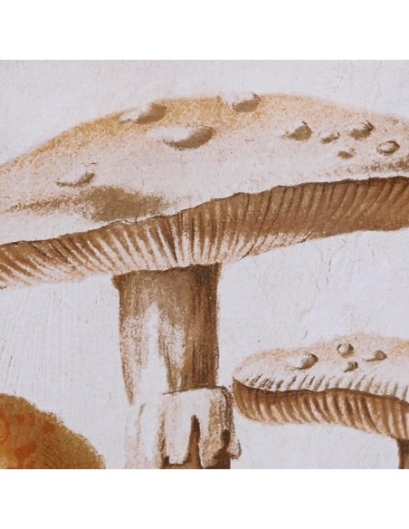 Cadre DKD Home Decor Verre 50 x 70 x 2,8 cm 50 x 2,8 x 70 cm Champignons (2 Unités)