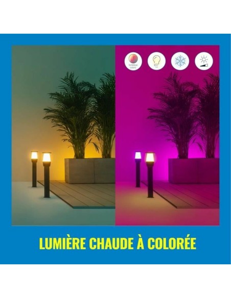 Lampe solaire Wiz Elpas Noir 400 lm