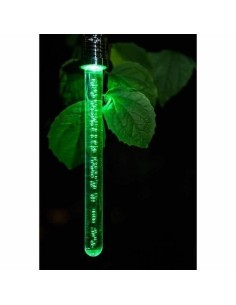 Lampe solaire Garden ID Crystal 2