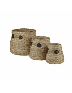 Set de basket DKD Home Decor Herbier marin (30 x 30 x 28 cm)