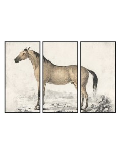 Cadre DKD Home Decor Cheval (180 x 4 x 120 cm)