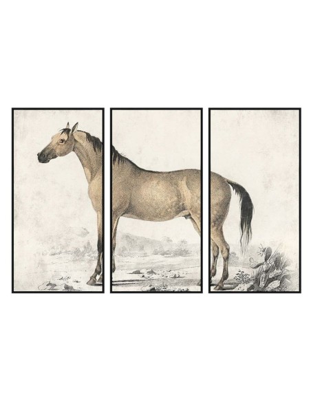 Cadre DKD Home Decor Cheval (180 x 4 x 120 cm)