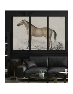 Cadre DKD Home Decor Cheval (180 x 4 x 120 cm) 2
