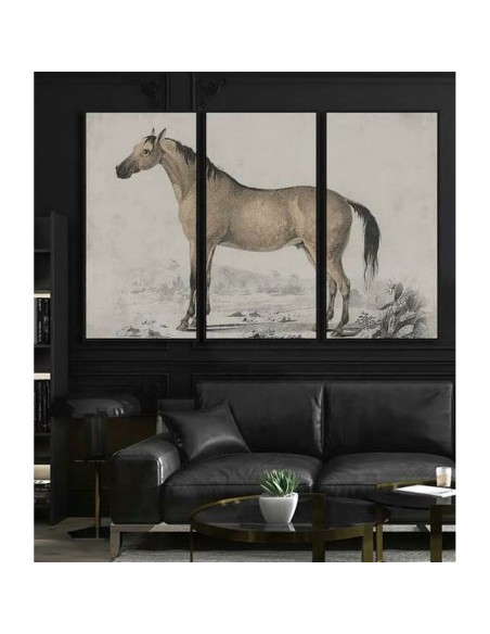 Cadre DKD Home Decor Cheval (180 x 4 x 120 cm)