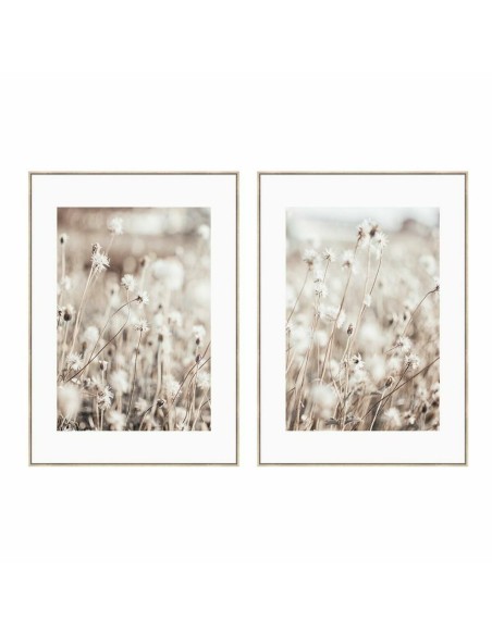 Cadre DKD Home Decor Fleurs Scandinave 75 x 4 x 100 cm (2 Unités)