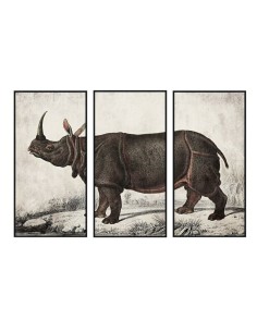 Cadre DKD Home Decor Colonial Rhinocéros (180 x 4 x 120 cm)