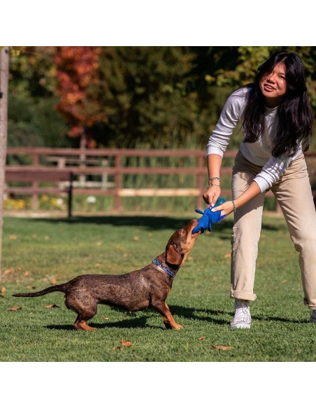 Jouet pour chien Stitch Bleu