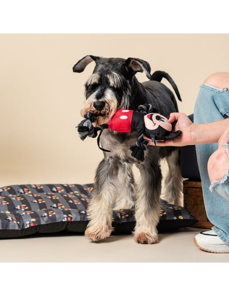 Jouet pour chien Mickey Mouse Noir