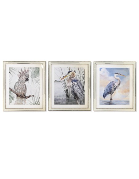 Cadre DKD Home Decor 40 x 1,6 x 60 cm Oiseaux méditerranéen (3 Pièces)