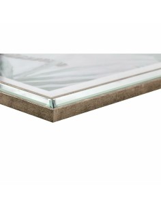 Cadre DKD Home Decor 40 x 1,6 x 60 cm Oiseaux méditerranéen (3 Pièces) 2