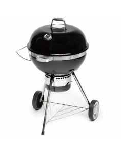 Barbecue Portable Fieldmann FZG 1017 Métal Acier