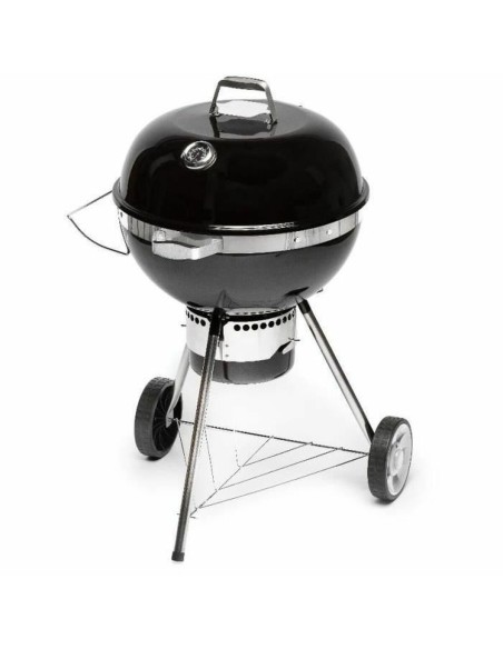 Barbecue Portable Fieldmann FZG 1017 Métal Acier