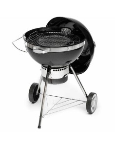 Barbecue Portable Fieldmann FZG 1017 Métal Acier 2