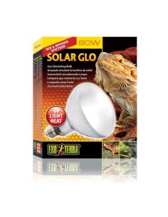 Ampoule Exo Terra Terrarium 80 W