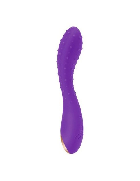 Vibrateur G-Spot S Pleasures Slender Pourpre