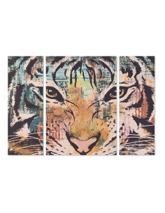 Jeu de 3 tableaux DKD Home Decor Colonial Tigre 140 x 3,8 x 100 cm
