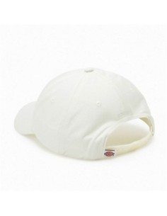 Casquette de Sport Dickies Hardwick Cloud (Taille unique) 2