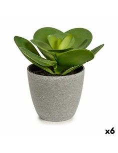 Plante décorative Ibergarden YC184572 Plastique 18 x 18,5 x 18 cm (6 Unités)