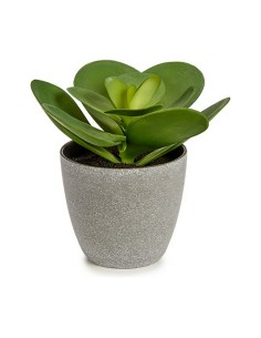 Plante décorative Ibergarden YC184572 Plastique 18 x 18,5 x 18 cm (6 Unités) 2