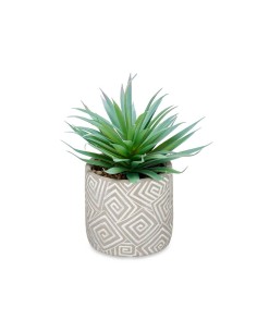 Plante décorative Ibergarden QY-H012 Bois Plastique Ciment Succulent 17 x 21 x 17 cm (8 Unités) 2