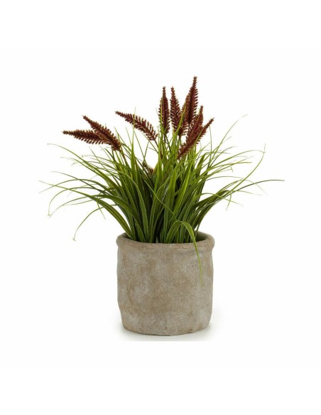 Plante décorative Ibergarden XD171059 Plastique Epis 12 x 30 x 12 cm (8 Unités)