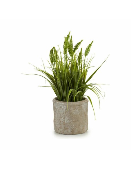 Plante décorative Ibergarden XD171059 Plastique Epis 12 x 30 x 12 cm (8 Unités)