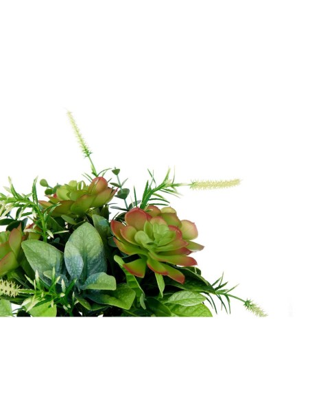 Plante décorative Ibergarden XD19-1370 Plastique Verre 25 x 36 x 25 cm (4 Unités)