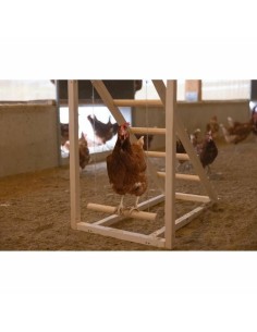 Escalier Kerbl Beige 85 x 55 x 76 cm Poule 2
