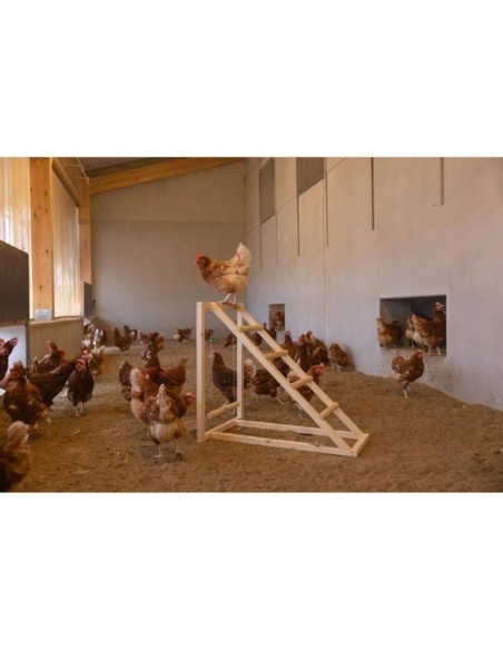 Escalier Kerbl Beige 85 x 55 x 76 cm Poule