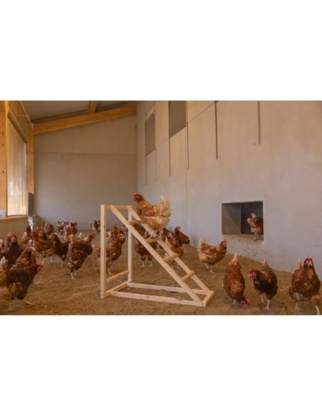 Escalier Kerbl Beige 85 x 55 x 76 cm Poule