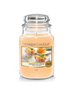Bougie Parfumée Yankee Candle 10.00115.0543 2
