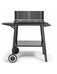 Barbecue Portable Livoo Acier inoxydable