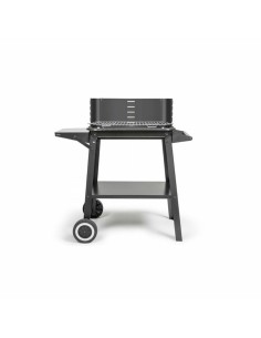 Barbecue Portable Livoo Acier inoxydable 2