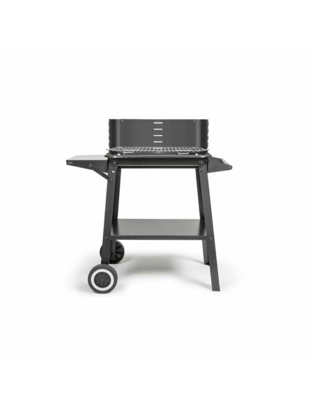 Barbecue Portable Livoo Acier inoxydable