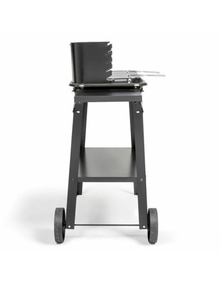 Barbecue Portable Livoo Acier inoxydable