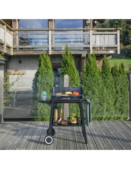 Barbecue Portable Livoo Acier inoxydable