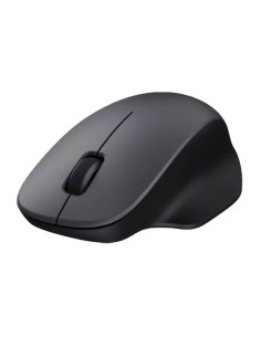 Souris sans-fil Xiaomi BHR9359GL Noir