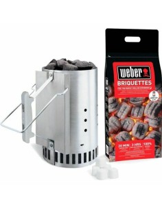 Grille d'allumage pour Barbecue Weber 17631