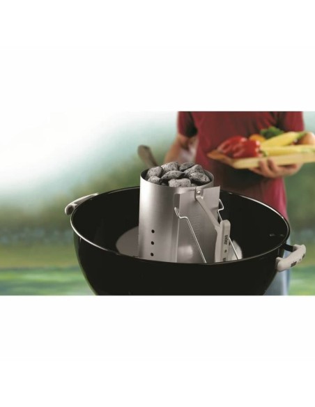 Grille d'allumage pour Barbecue Weber 17631