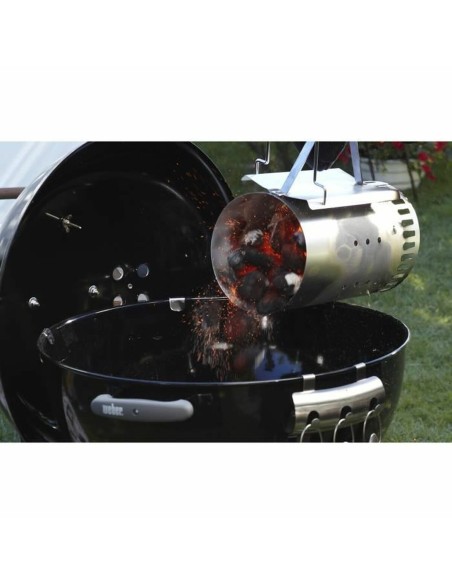 Grille d'allumage pour Barbecue Weber 17631